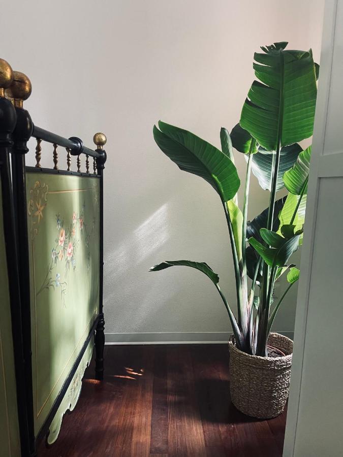 Casatua Apartment เตรวิโซ ภายนอก รูปภาพ
